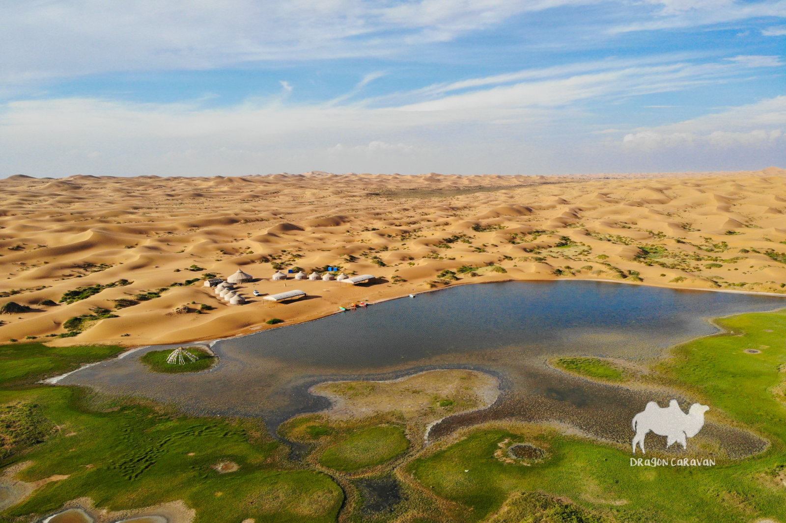 Desert oasis in Alashan, Inner Mongolia