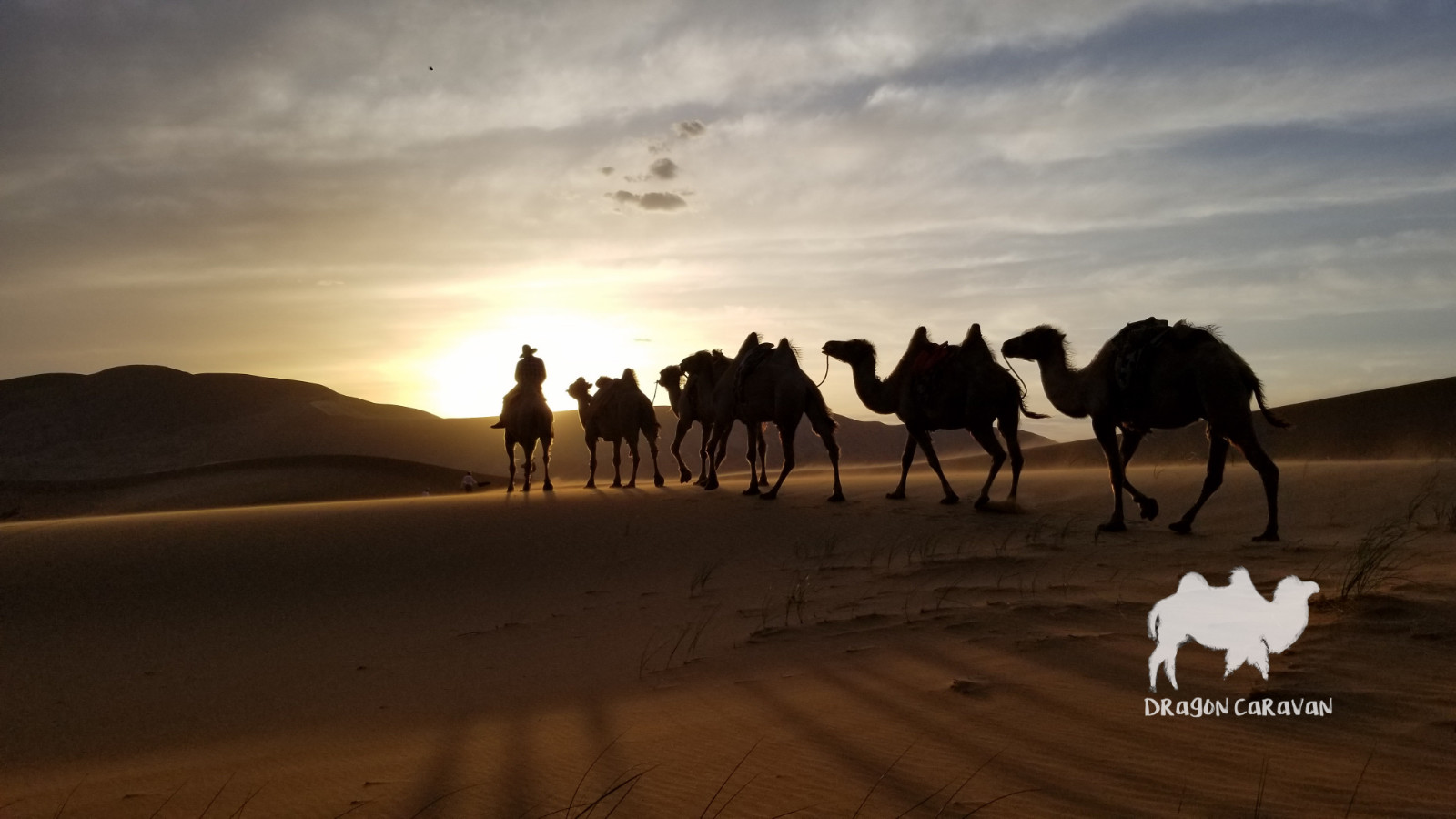 Winter desert landscape with camels